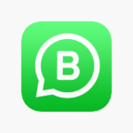 WhatsApp business