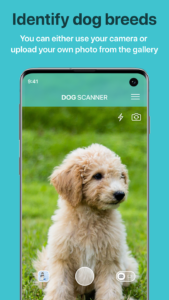 Dog Scanner: Breed Recognition 1